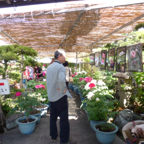 萬祥苑（朝田寺庭園入口）